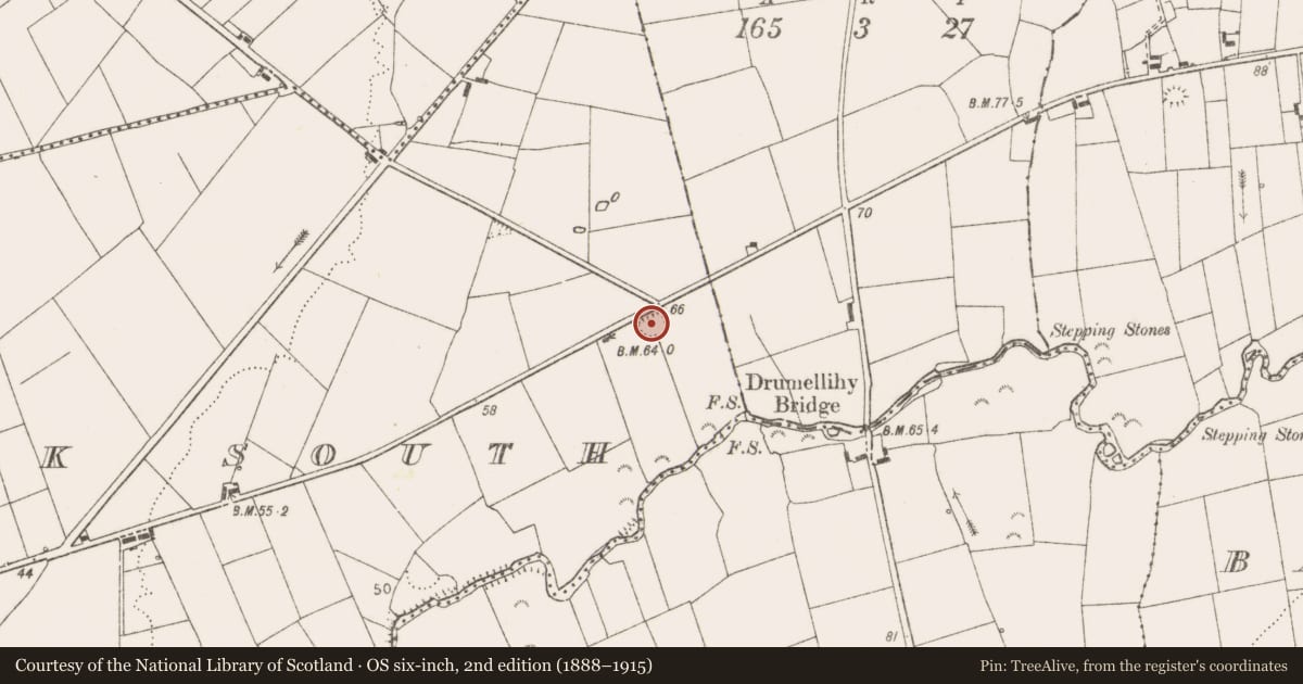 Ordnance Survey six-inch map, 2nd edition (1888–1915) covering the location of Ringfort - rath, Caherfeenick South, County Clare, with a pin at the register's coordinates