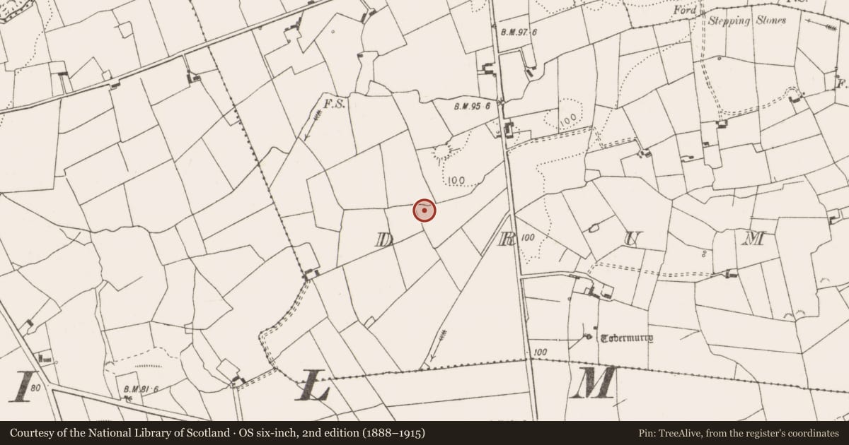 Ordnance Survey six-inch map, 2nd edition (1888–1915) covering the location of Ritual site - holy well, Drumellihy (Westby), County Clare, with a pin at the register's coordinates