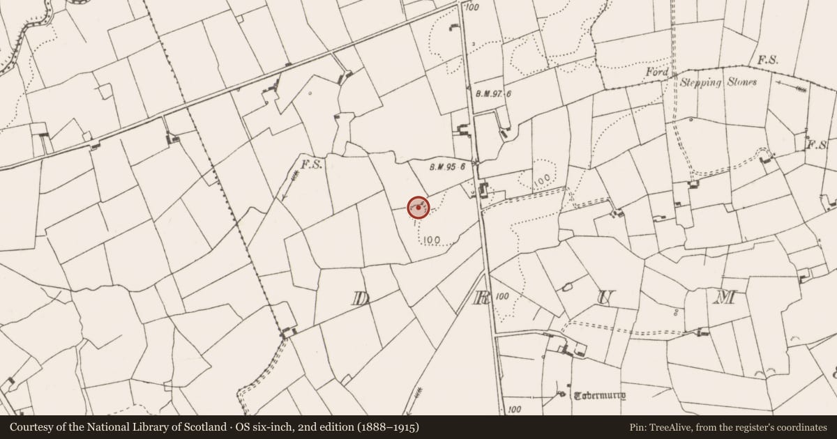 Ordnance Survey six-inch map, 2nd edition (1888–1915) covering the location of Ringfort - rath, Drumellihy (Westby), County Clare, with a pin at the register's coordinates