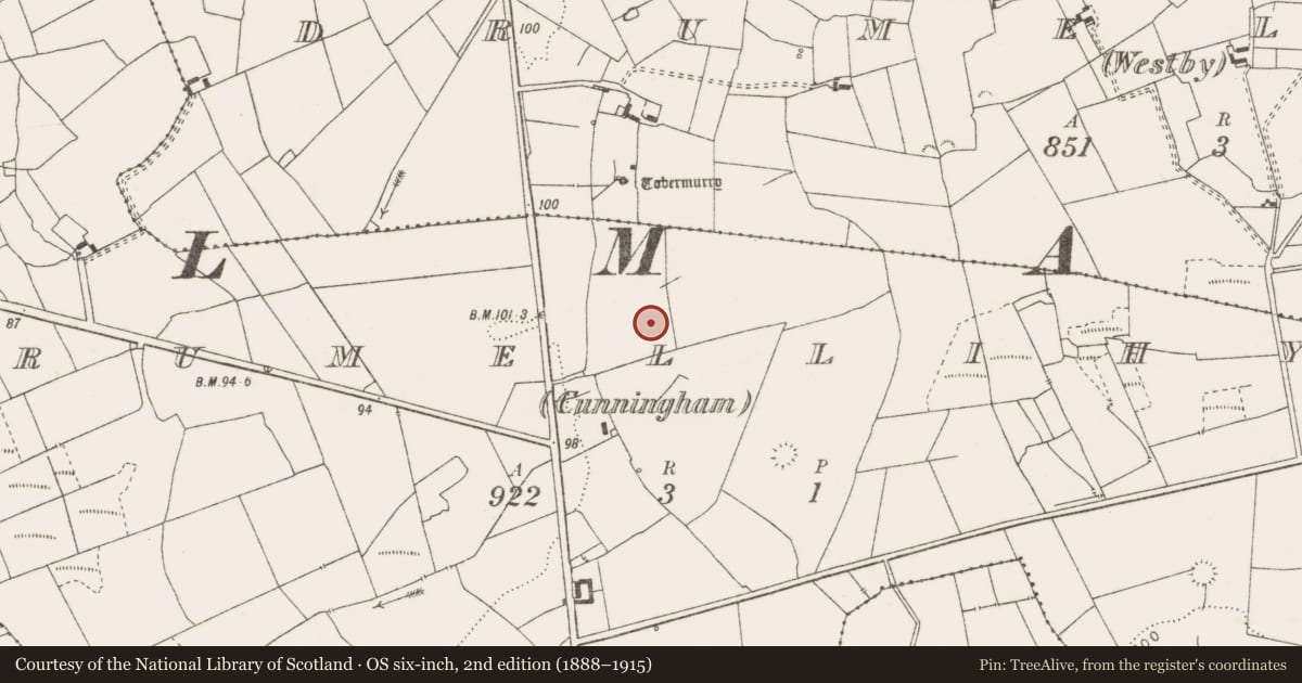 Ordnance Survey six-inch map, 2nd edition (1888–1915) covering the location of Quarry, Drumellihy (Cunningham), County Clare, with a pin at the register's coordinates