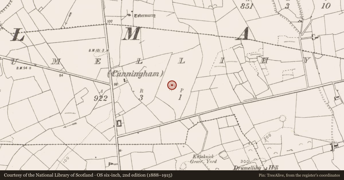Ordnance Survey six-inch map, 2nd edition (1888–1915) covering the location of Ringfort - rath, Drumellihy (Cunningham), County Clare, with a pin at the register's coordinates
