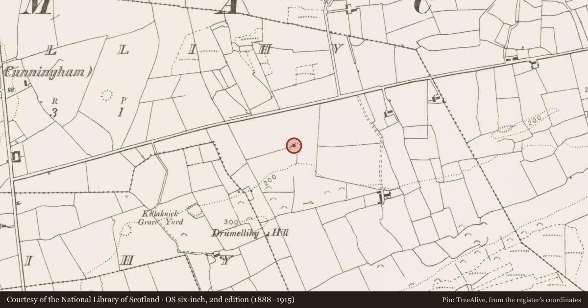 Ordnance Survey six-inch map, 2nd edition (1888–1915) covering the location of Ringfort - rath, Drumellihy (Cunningham), County Clare, with a pin at the register's coordinates