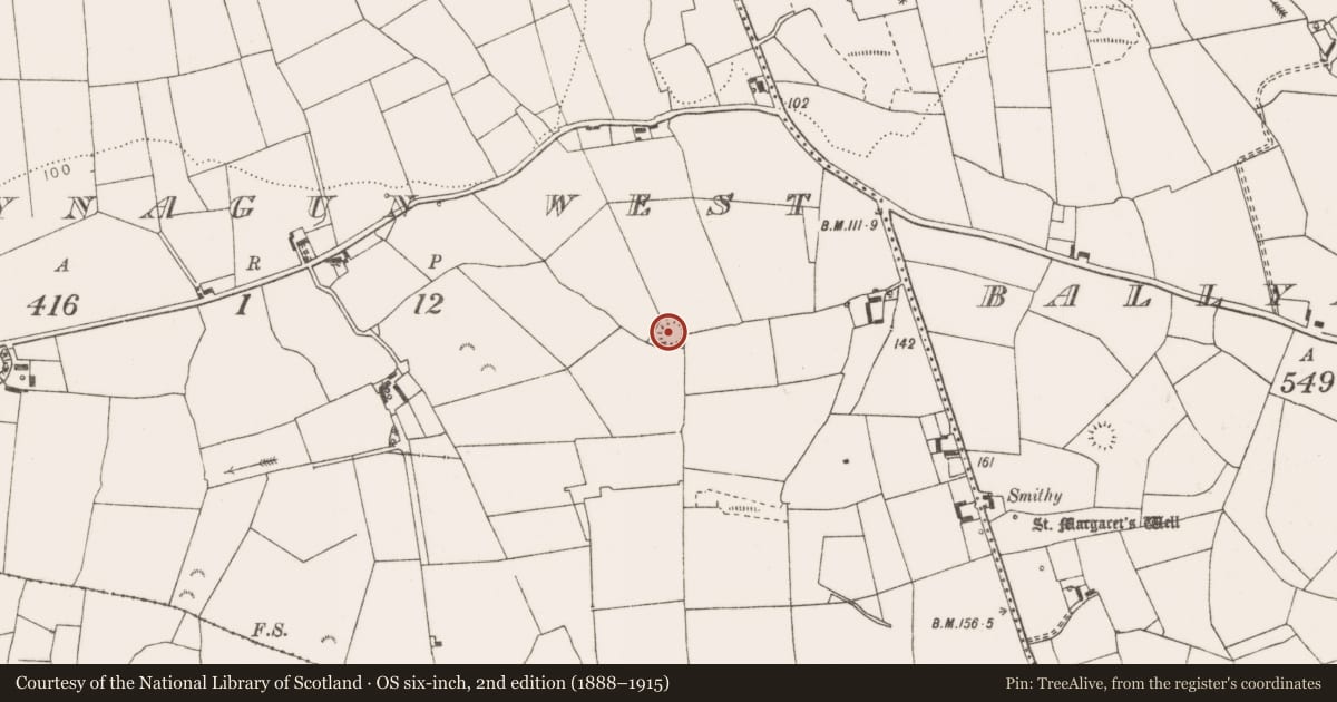 Ordnance Survey six-inch map, 2nd edition (1888–1915) covering the location of Ringfort - rath, Ballynagun West, County Clare, with a pin at the register's coordinates