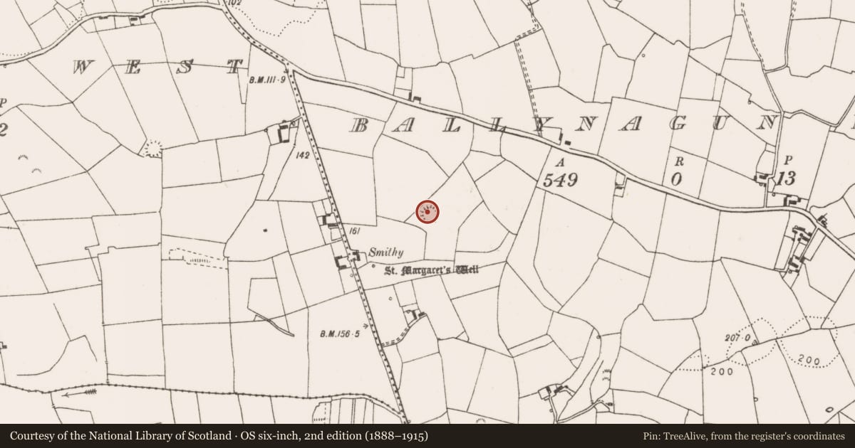 Ordnance Survey six-inch map, 2nd edition (1888–1915) covering the location of Ringfort - rath, Ballynagun East, County Clare, with a pin at the register's coordinates