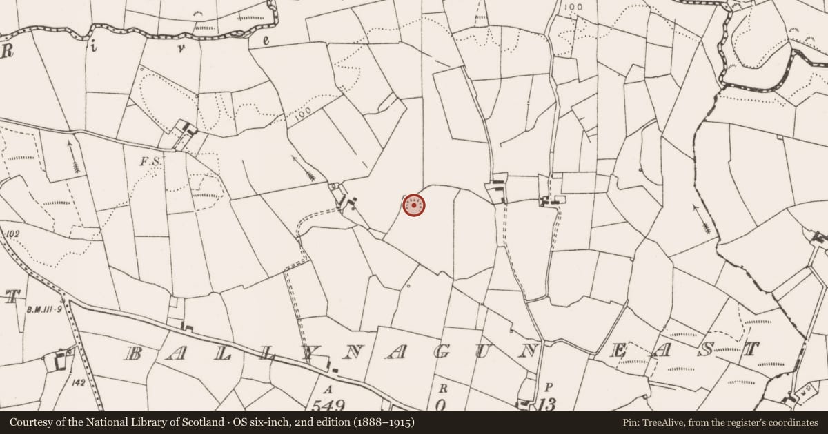 Ordnance Survey six-inch map, 2nd edition (1888–1915) covering the location of Ringfort - rath, Ballynagun East, County Clare, with a pin at the register's coordinates