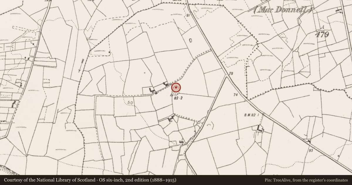 Ordnance Survey six-inch map, 2nd edition (1888–1915) covering the location of Ringfort - rath, Dangananella West, County Clare, with a pin at the register's coordinates
