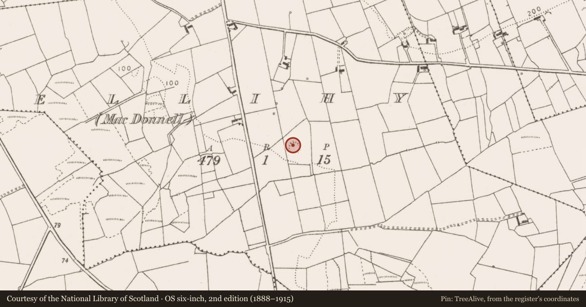 Ordnance Survey six-inch map, 2nd edition (1888–1915) covering the location of Ringfort - rath, Drumellihy (Mac Donnell), County Clare, with a pin at the register's coordinates