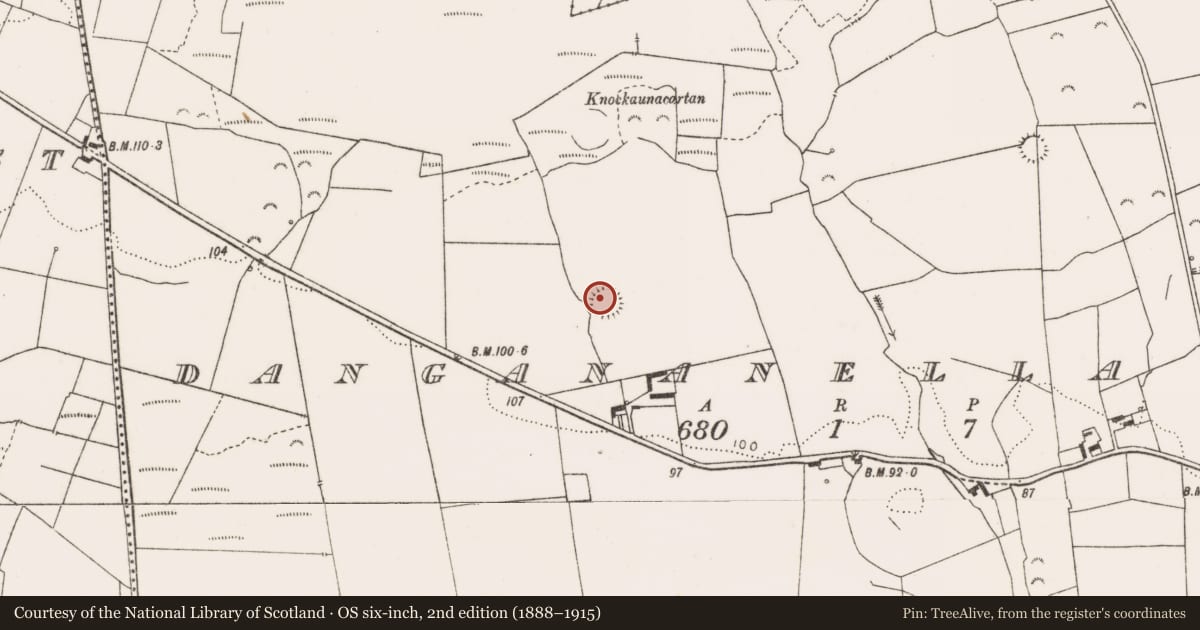 Ordnance Survey six-inch map, 2nd edition (1888–1915) covering the location of Ringfort - rath, Dangananella East, County Clare, with a pin at the register's coordinates