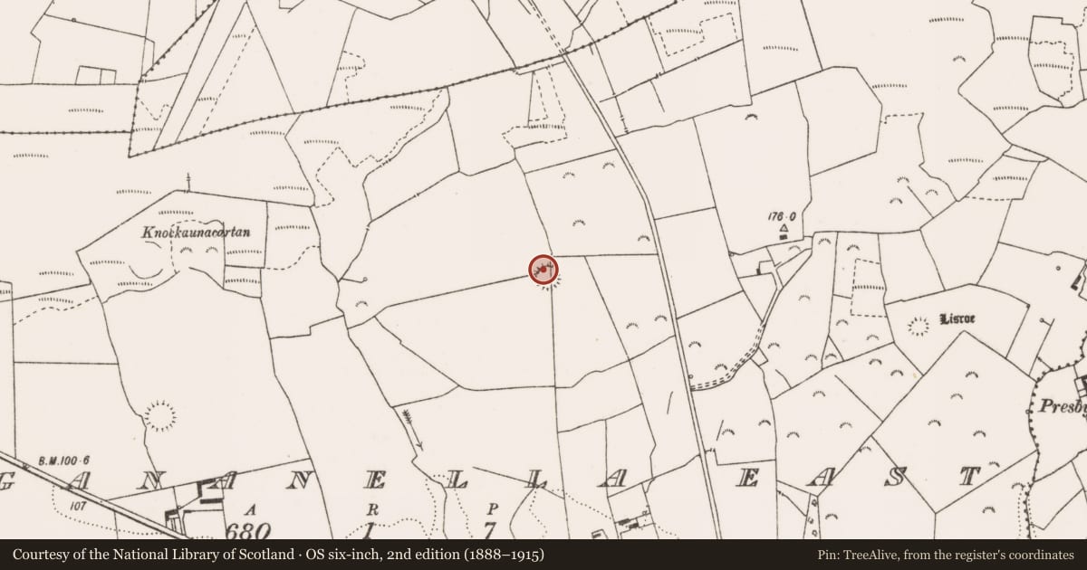 Ordnance Survey six-inch map, 2nd edition (1888–1915) covering the location of Ringfort - rath, Dangananella East, County Clare, with a pin at the register's coordinates