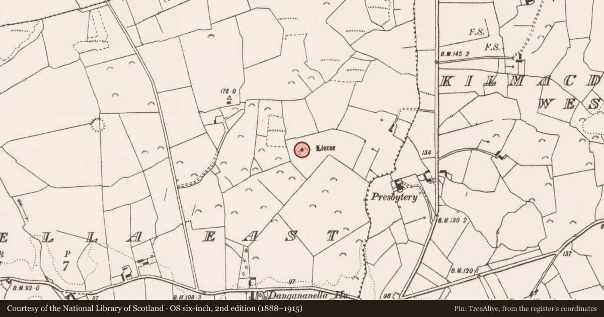Ordnance Survey six-inch map, 2nd edition (1888–1915) covering the location of Ringfort - rath, Dangananella East, County Clare, with a pin at the register's coordinates