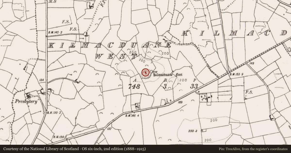 Ordnance Survey six-inch map, 2nd edition (1888–1915) covering the location of Ringfort - rath, Kilmacduane West, County Clare, with a pin at the register's coordinates