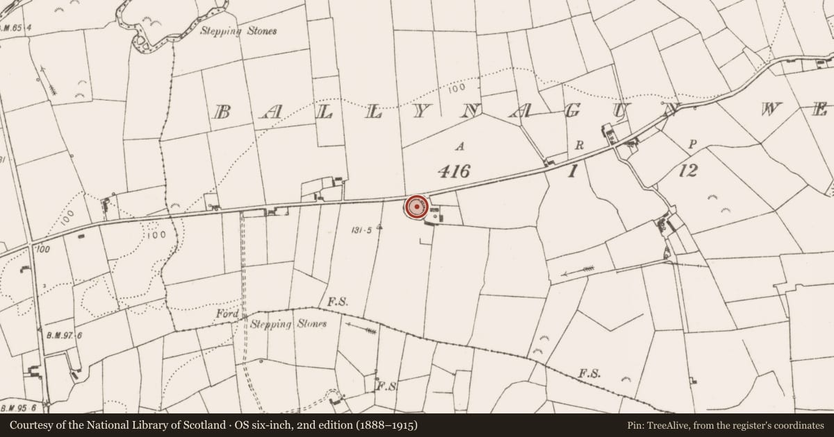 Ordnance Survey six-inch map, 2nd edition (1888–1915) covering the location of Ringfort - rath, Ballynagun West, County Clare, with a pin at the register's coordinates