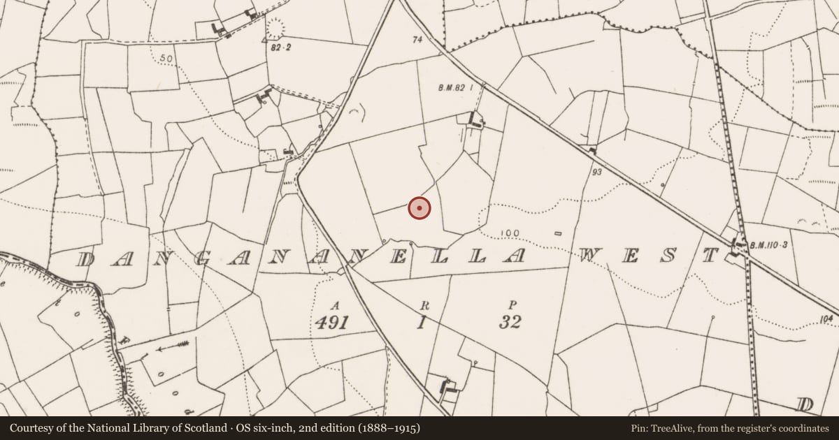 Ordnance Survey six-inch map, 2nd edition (1888–1915) covering the location of Ringfort - rath, Dangananella West, County Clare, with a pin at the register's coordinates