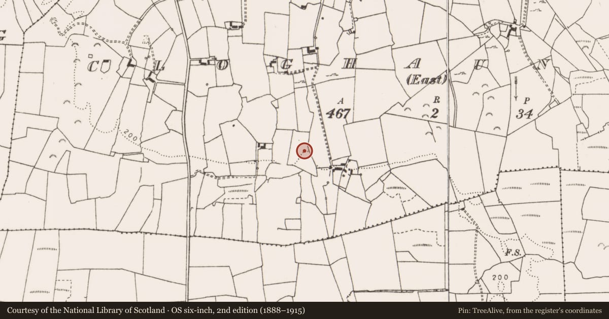 Ordnance Survey six-inch map, 2nd edition (1888–1915) covering the location of Cairn - unclassified, Cloghaun Beg (East), County Clare, with a pin at the register's coordinates