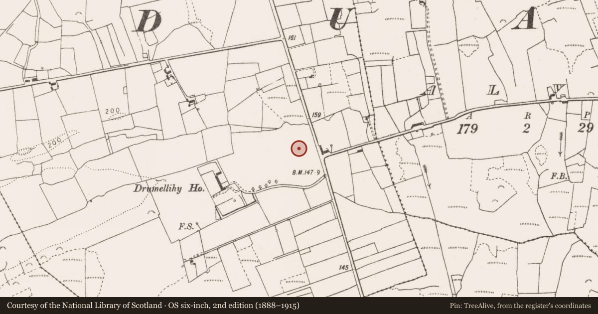 Ordnance Survey six-inch map, 2nd edition (1888–1915) covering the location of Standing stone, Drumellihy (Westby), County Clare, with a pin at the register's coordinates