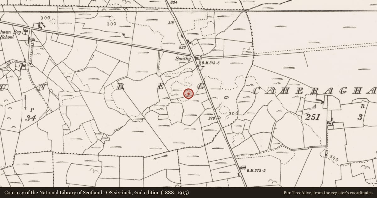 Ordnance Survey six-inch map, 2nd edition (1888–1915) covering the location of Ringfort - rath, Cloghaun Beg (East), County Clare, with a pin at the register's coordinates