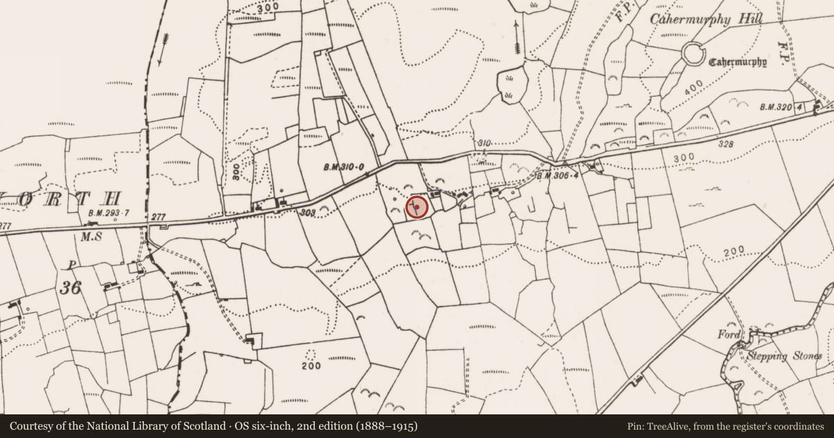 Ordnance Survey six-inch map, 2nd edition (1888–1915) covering the location of Ringfort - rath, Cahermurphy, County Clare, with a pin at the register's coordinates