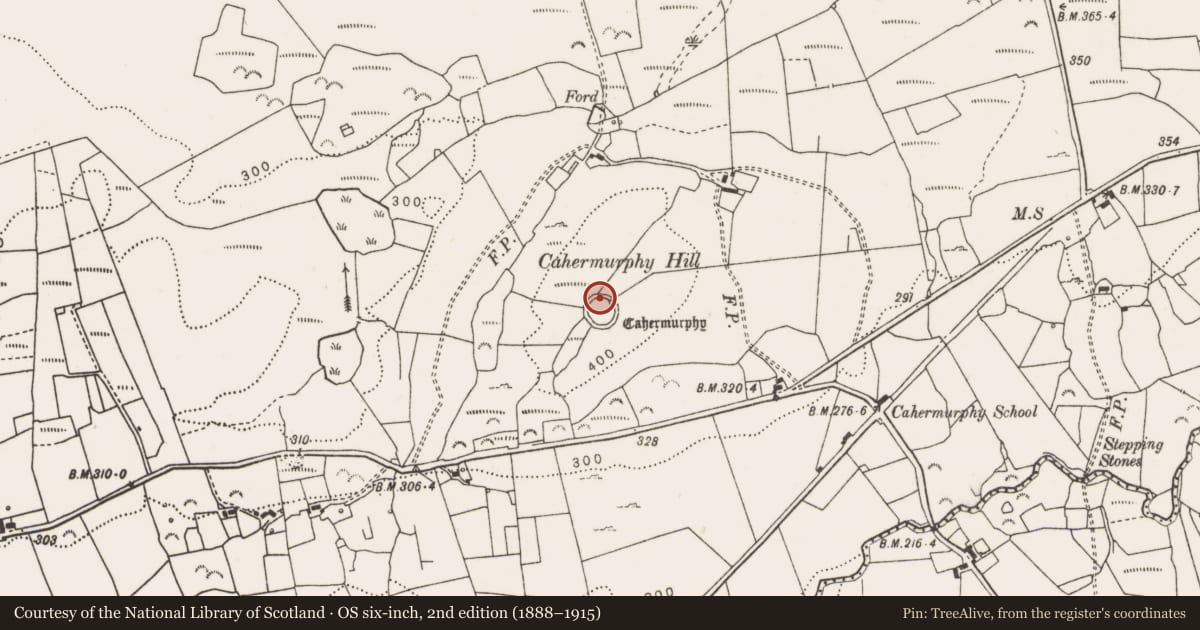 Ordnance Survey six-inch map, 2nd edition (1888–1915) covering the location of Hut site, Cahermurphy, County Clare, with a pin at the register's coordinates