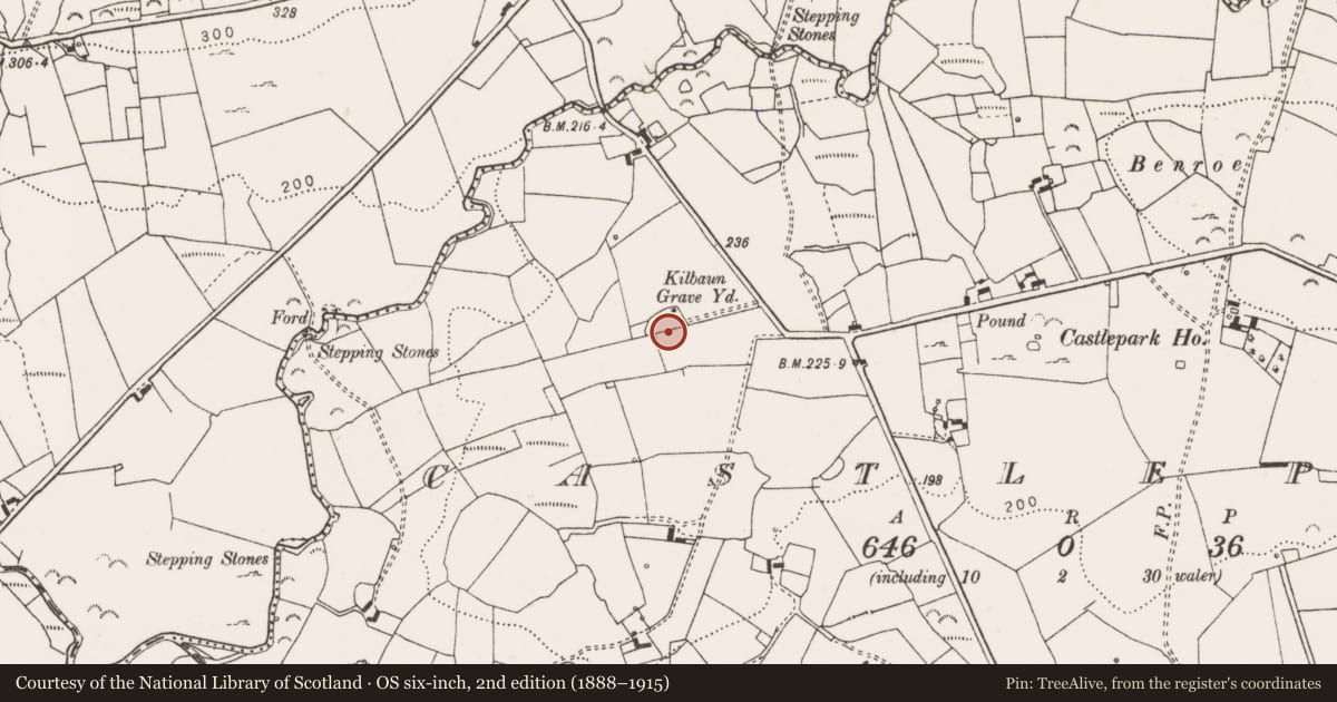 Ordnance Survey six-inch map, 2nd edition (1888–1915) covering the location of Ecclesiastical enclosure, Castlepark, County Clare, with a pin at the register's coordinates