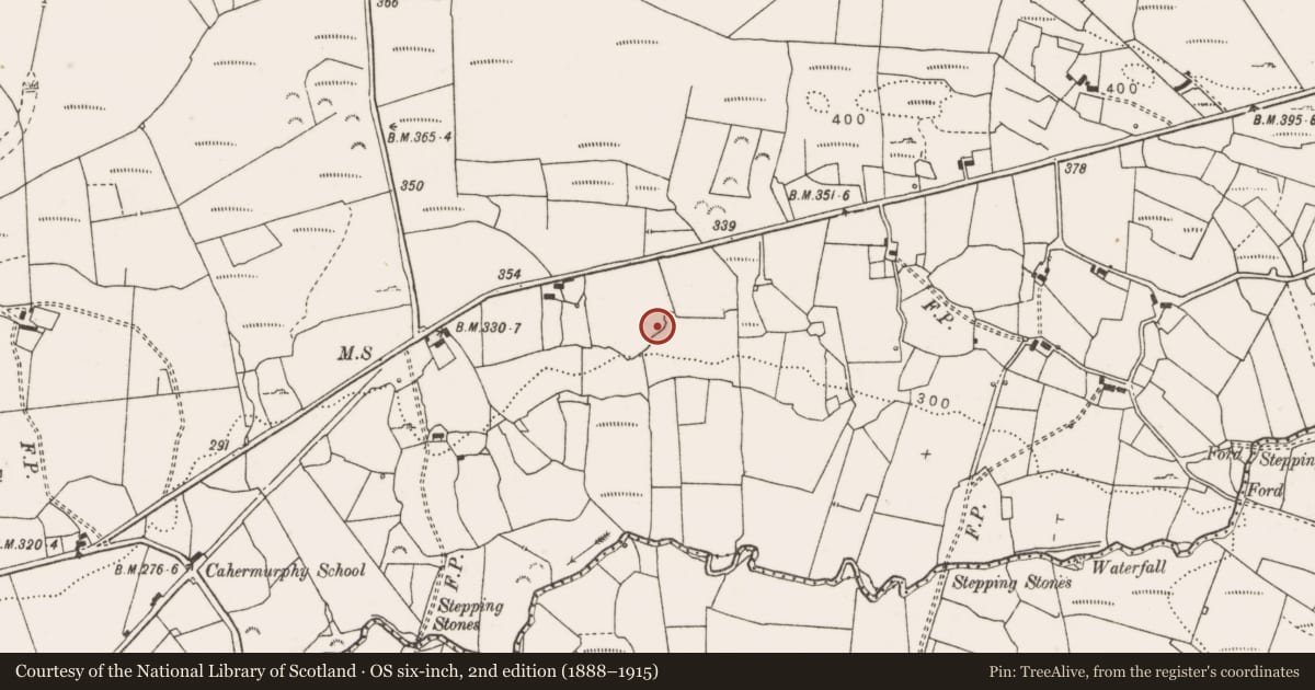 Ordnance Survey six-inch map, 2nd edition (1888–1915) covering the location of Hut site, Cahermurphy, County Clare, with a pin at the register's coordinates