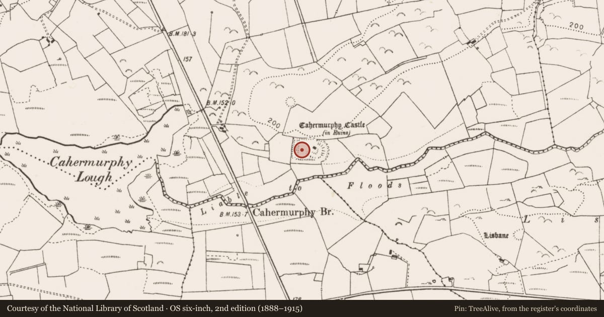 Ordnance Survey six-inch map, 2nd edition (1888–1915) covering the location of Moated site, Castlepark, County Clare, with a pin at the register's coordinates