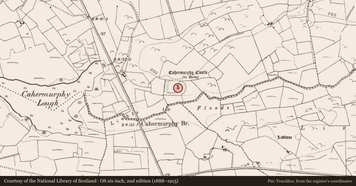 Ordnance Survey six-inch map, 2nd edition (1888–1915) covering the location of Castle - tower house, Castlepark, County Clare, with a pin at the register's coordinates
