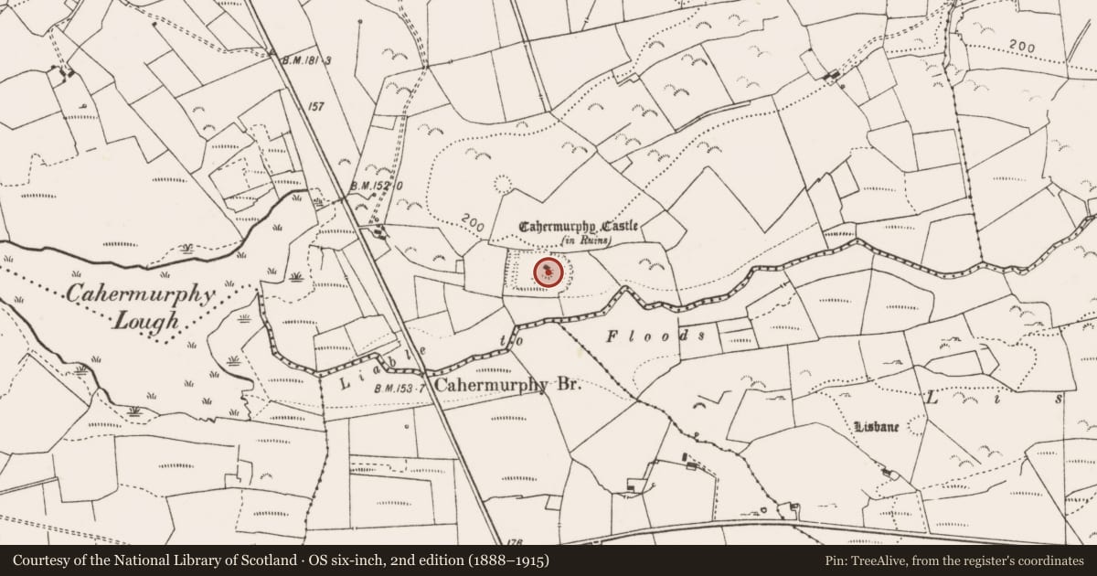 Ordnance Survey six-inch map, 2nd edition (1888–1915) covering the location of Enclosure, Castlepark, County Clare, with a pin at the register's coordinates