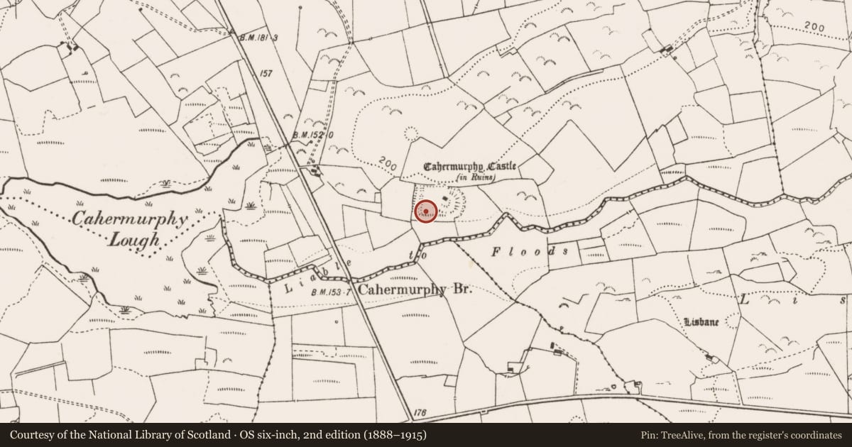 Ordnance Survey six-inch map, 2nd edition (1888–1915) covering the location of House - indeterminate date, Castlepark, County Clare, with a pin at the register's coordinates