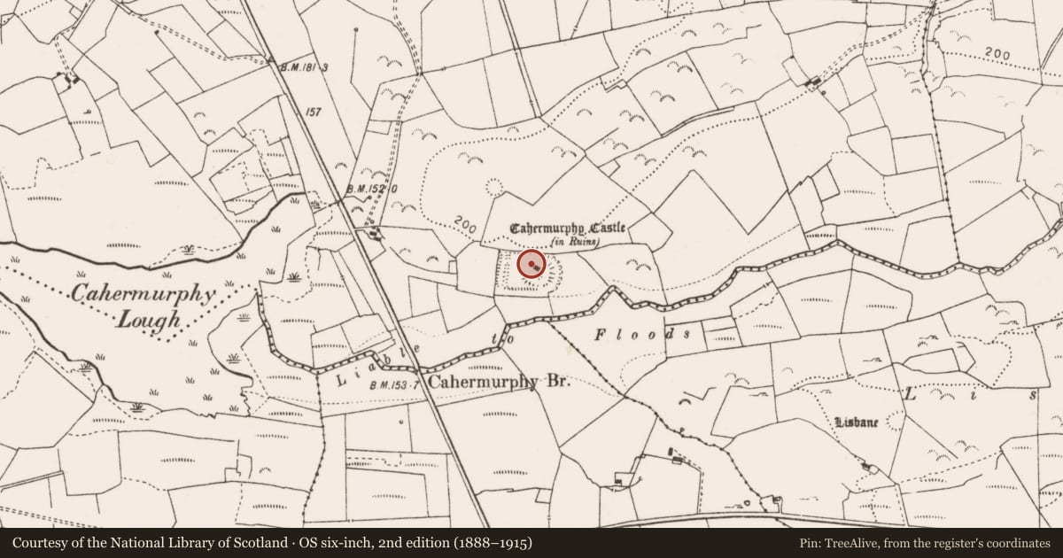 Ordnance Survey six-inch map, 2nd edition (1888–1915) covering the location of House - indeterminate date, Castlepark, County Clare, with a pin at the register's coordinates
