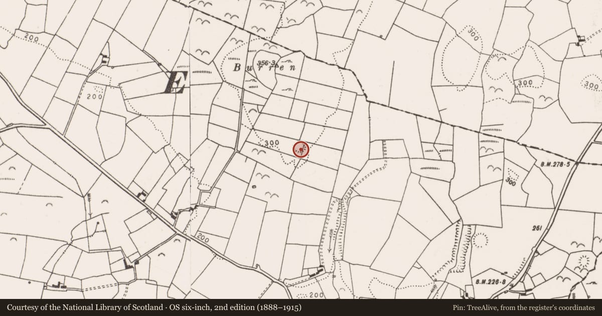 Ordnance Survey six-inch map, 2nd edition (1888–1915) covering the location of Ringfort - rath, Cloonreddan, County Clare, with a pin at the register's coordinates