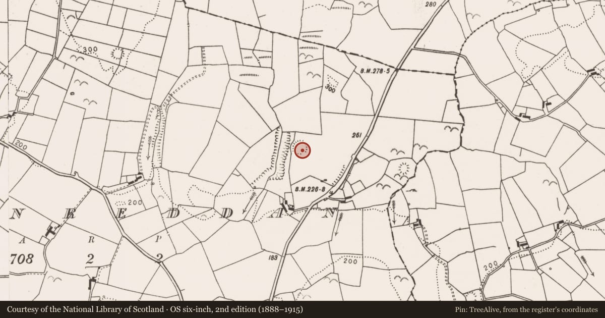 Ordnance Survey six-inch map, 2nd edition (1888–1915) covering the location of Ringfort - rath, Cloonreddan, County Clare, with a pin at the register's coordinates