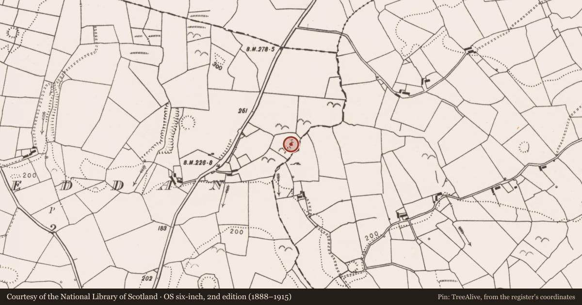 Ordnance Survey six-inch map, 2nd edition (1888–1915) covering the location of Ringfort - rath, Cloonreddan, County Clare, with a pin at the register's coordinates