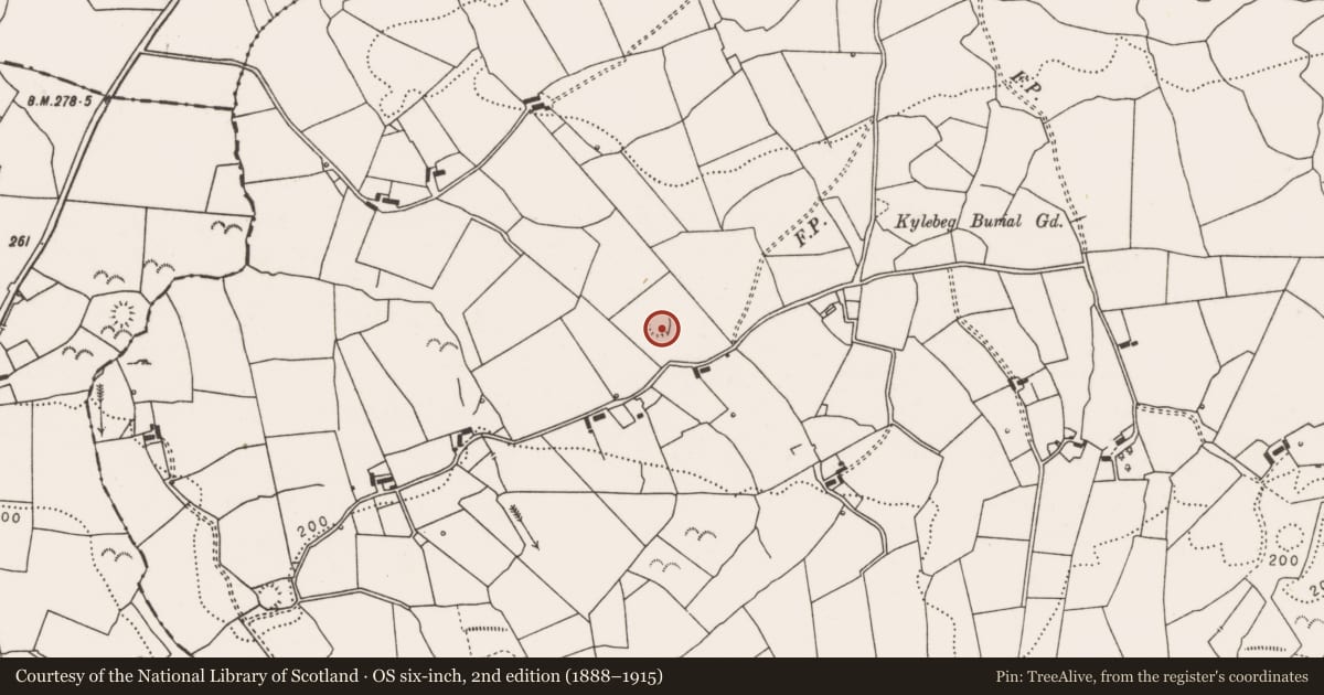 Ordnance Survey six-inch map, 2nd edition (1888–1915) covering the location of Ringfort - rath, Sheeaun, County Clare, with a pin at the register's coordinates