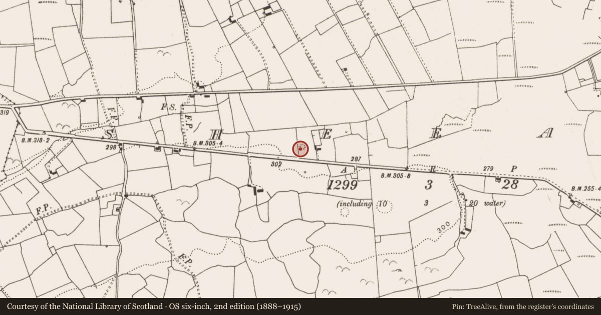 Ordnance Survey six-inch map, 2nd edition (1888–1915) covering the location of Ringfort - rath, Sheeaun, County Clare, with a pin at the register's coordinates