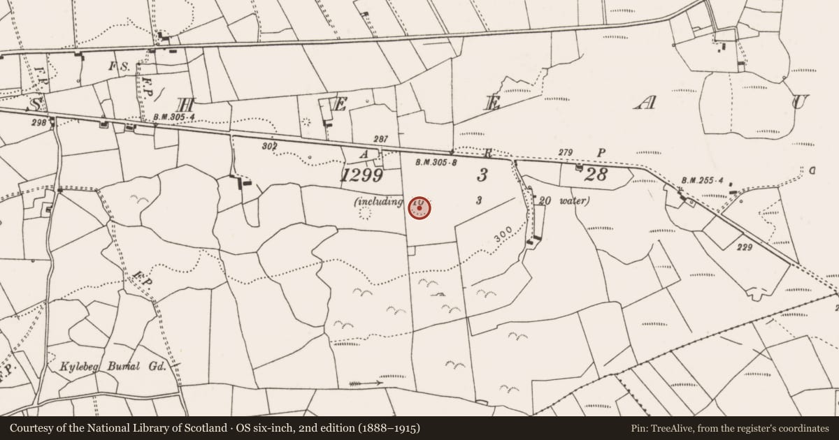 Ordnance Survey six-inch map, 2nd edition (1888–1915) covering the location of Ringfort - rath, Sheeaun, County Clare, with a pin at the register's coordinates