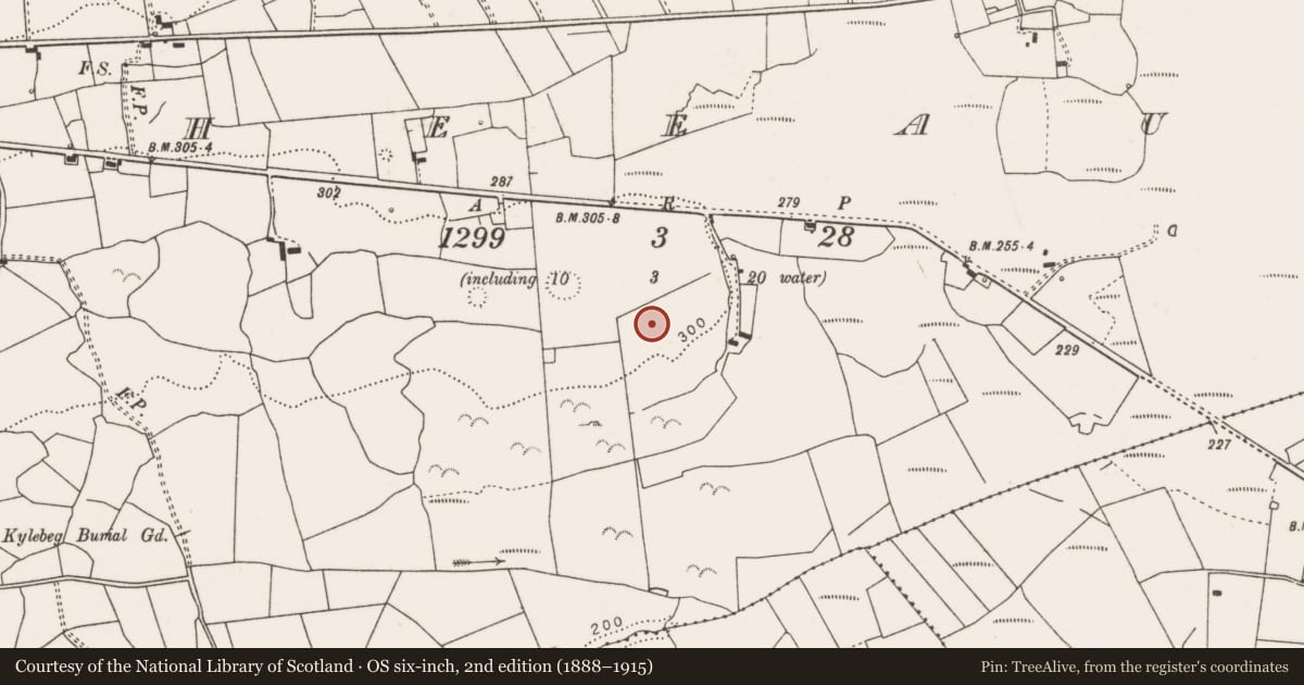 Ordnance Survey six-inch map, 2nd edition (1888–1915) covering the location of Enclosure, Sheeaun, County Clare, with a pin at the register's coordinates