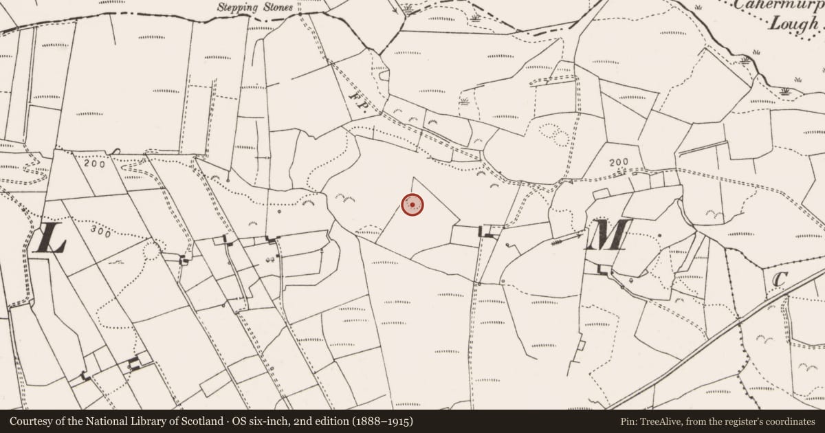 Ordnance Survey six-inch map, 2nd edition (1888–1915) covering the location of Ringfort - rath, Sheeaun, County Clare, with a pin at the register's coordinates