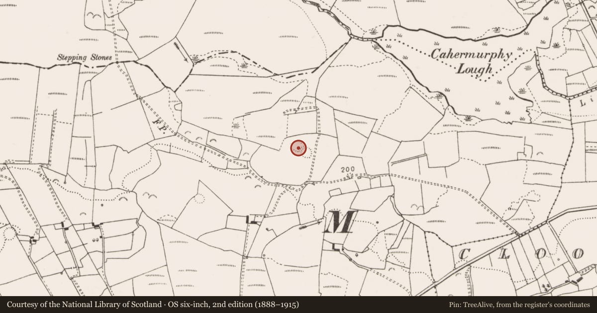 Ordnance Survey six-inch map, 2nd edition (1888–1915) covering the location of Ringfort - rath, Sheeaun, County Clare, with a pin at the register's coordinates