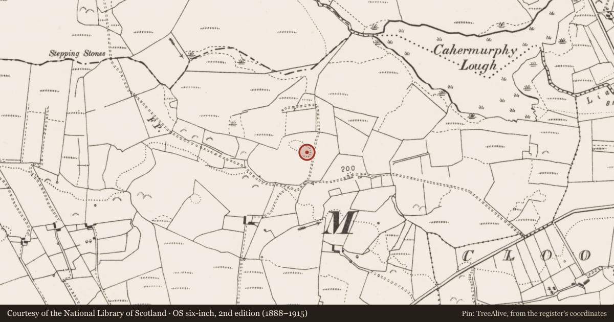 Ordnance Survey six-inch map, 2nd edition (1888–1915) covering the location of Ringfort - rath, Sheeaun, County Clare, with a pin at the register's coordinates