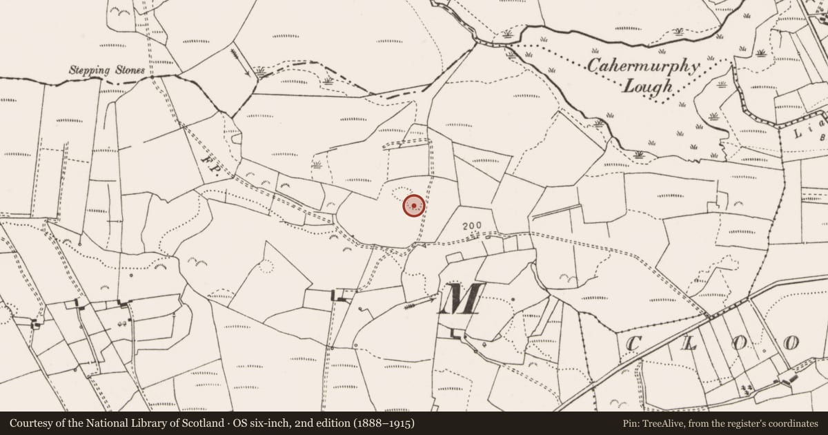 Ordnance Survey six-inch map, 2nd edition (1888–1915) covering the location of House - indeterminate date, Sheeaun, County Clare, with a pin at the register's coordinates
