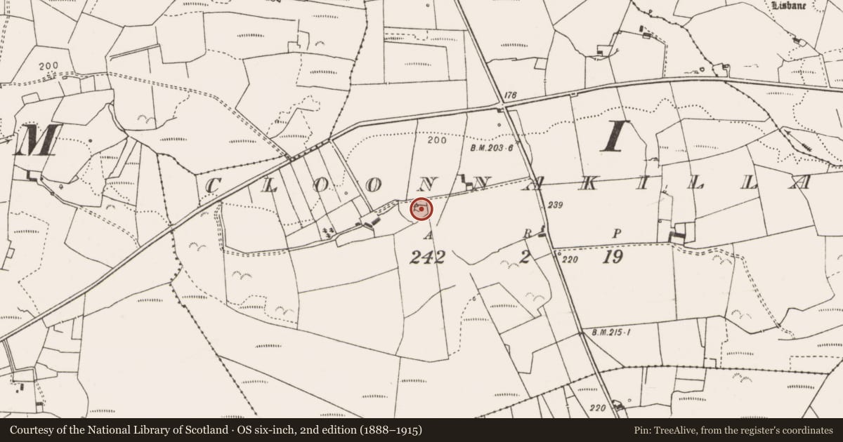 Ordnance Survey six-inch map, 2nd edition (1888–1915) covering the location of Cross-slab, Cloonnakilla, County Clare, with a pin at the register's coordinates