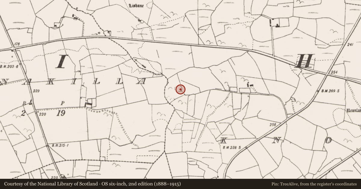 Ordnance Survey six-inch map, 2nd edition (1888–1915) covering the location of Ringfort - rath, Knockmore, County Clare, with a pin at the register's coordinates