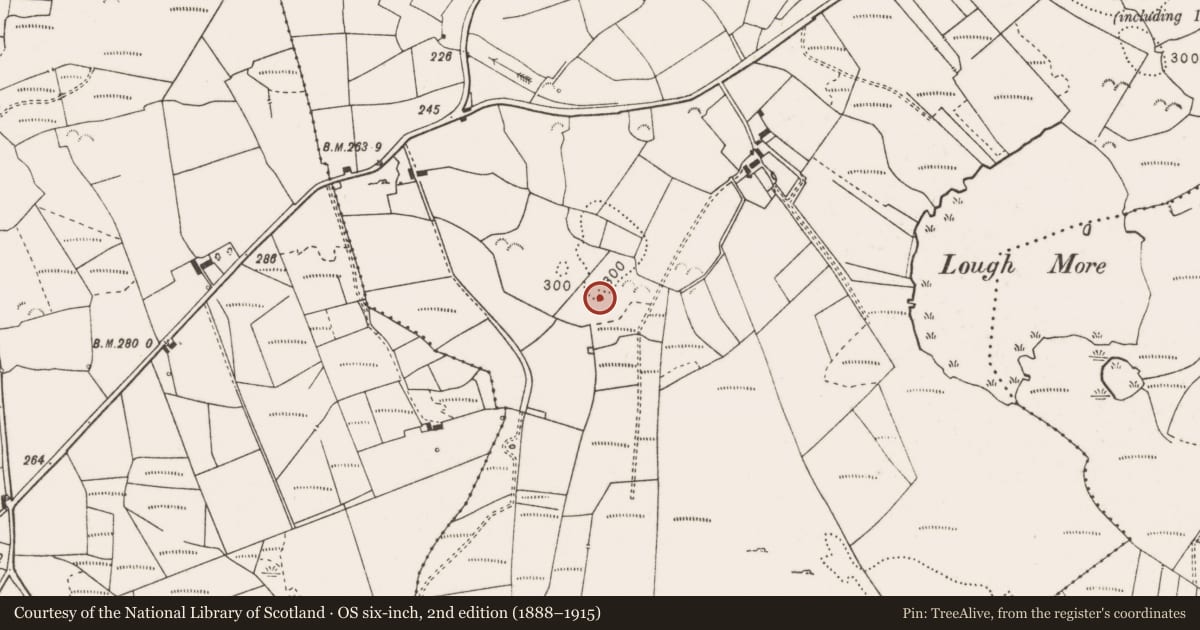 Ordnance Survey six-inch map, 2nd edition (1888–1915) covering the location of Quarry, Knockmore, County Clare, with a pin at the register's coordinates