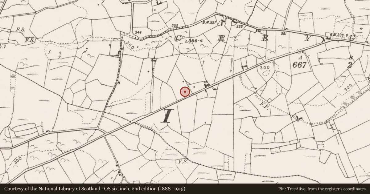 Ordnance Survey six-inch map, 2nd edition (1888–1915) covering the location of Ringfort - rath, Greygrove, County Clare, with a pin at the register's coordinates