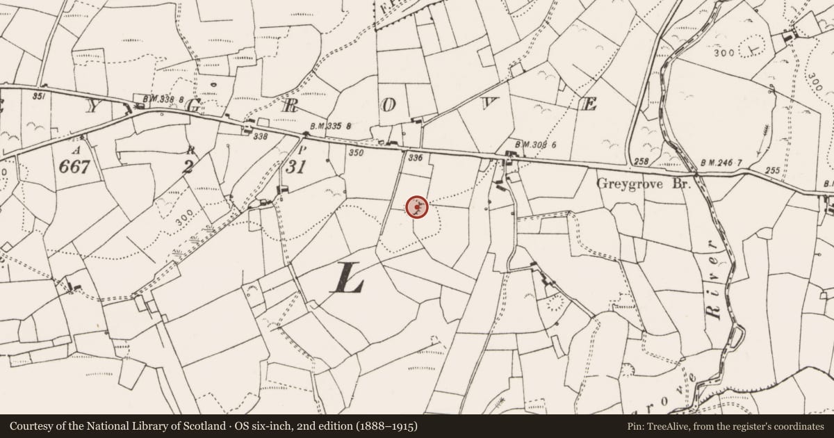 Ordnance Survey six-inch map, 2nd edition (1888–1915) covering the location of Ringfort - rath, Greygrove, County Clare, with a pin at the register's coordinates