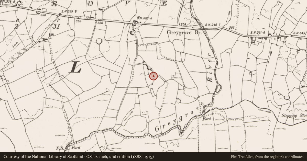 Ordnance Survey six-inch map, 2nd edition (1888–1915) covering the location of Ringfort - rath, Greygrove, County Clare, with a pin at the register's coordinates