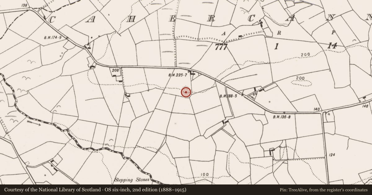Ordnance Survey six-inch map, 2nd edition (1888–1915) covering the location of Ringfort - rath, Cahercannavan, County Clare, with a pin at the register's coordinates
