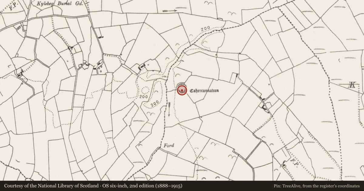 Ordnance Survey six-inch map, 2nd edition (1888–1915) covering the location of Ringfort - rath, Cahercannavan, County Clare, with a pin at the register's coordinates