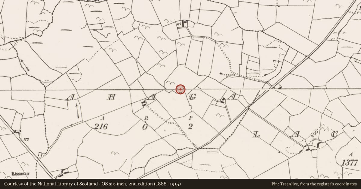 Ordnance Survey six-inch map, 2nd edition (1888–1915) covering the location of Ringfort - rath, Ahaga, County Clare, with a pin at the register's coordinates