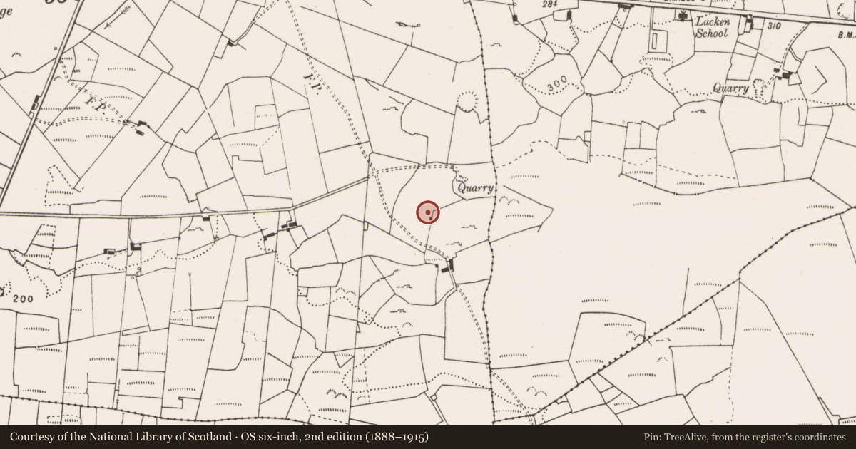 Ordnance Survey six-inch map, 2nd edition (1888–1915) covering the location of Quarry, Kilmihil, County Clare, with a pin at the register's coordinates